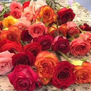 Meet your Posher, Annette